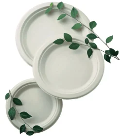 Bord plat wit van suikerriet vezel_Matfer